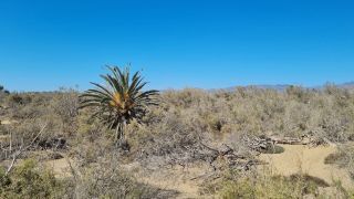 2023-GC-Dunas_Maspalomas-094.jpg
